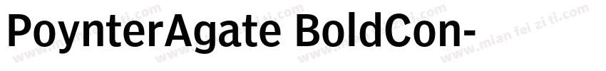 PoynterAgate BoldCon字体转换